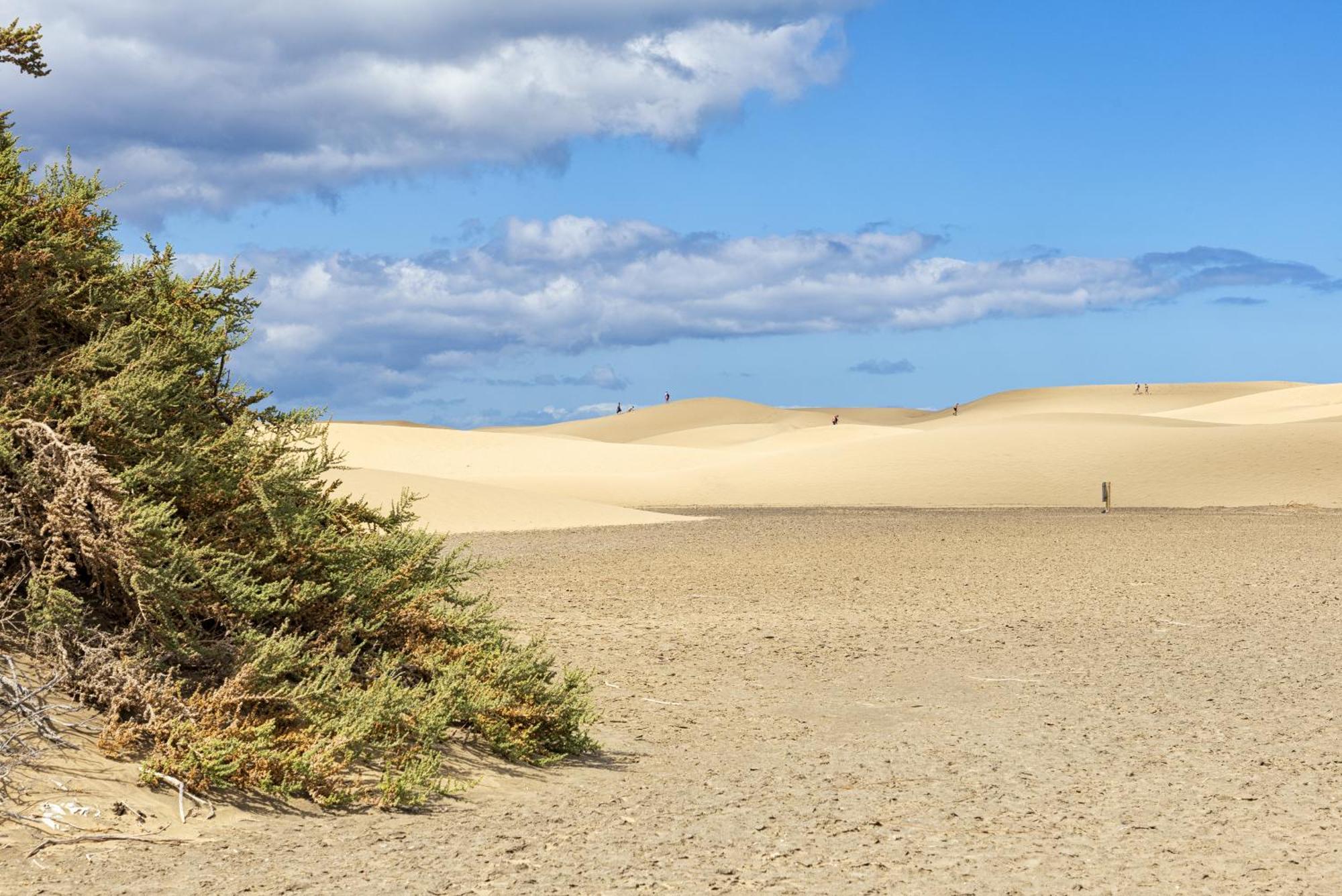 Smartr Maspalomas Corinto Playa del Inglés Exteriör bild